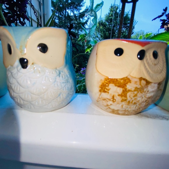 3 Brand New Mini Owl🦉Planters, Great for Mini Live or Faux Succulents or Whatev - Picture 2 of 16